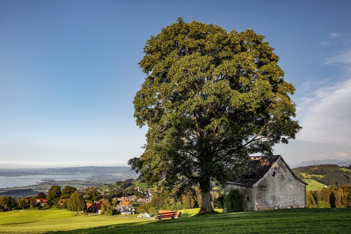 Appenzeller Land Tourismus AR, Appenzeller Vorderland, Dorf, Heiden, Landscape, Landschaft, Ostschweiz, Tourismus, Verkehr, Wanderweg, Weg