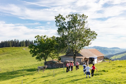 Alp, Alpabfahrt, Alpen, Alpfahrt, Alps, Appenzell, Appenzellerland, Autumn, Brauchtum und Anlässe, Fall, Herbst, Jahreszeiten, Kühe, Landschaft und Natur, Natur, Orte, Ostschweiz, Schweiz, Suisse, Switzerland, Tier, Tracht, Urnäsch, tradition, Öberefahre