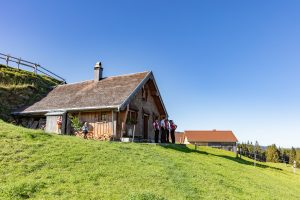 Alp, Alpabfahrt, Alpen, Alpfahrt, Alps, Appenzell, Appenzellerland, Autumn, Brauchtum und Anlässe, Fall, Herbst, Jahreszeiten, Kühe, Landschaft und Natur, Natur, Orte, Ostschweiz, Schweiz, Suisse, Switzerland, Tier, Tracht, Urnäsch, tradition, Öberefahre