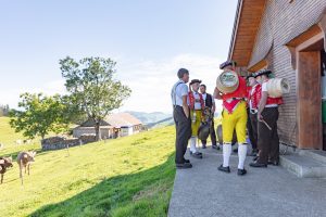 Alp, Alpabfahrt, Alpen, Alpfahrt, Alps, Appenzell, Appenzellerland, Autumn, Brauchtum und Anlässe, Fall, Herbst, Jahreszeiten, Kühe, Landschaft und Natur, Natur, Orte, Ostschweiz, Schweiz, Suisse, Switzerland, Tier, Tracht, Urnäsch, tradition, Öberefahre