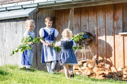 Alp, Alpabfahrt, Alpen, Alpfahrt, Alps, Appenzell, Appenzellerland, Autumn, Brauchtum und Anlässe, Fall, Herbst, Jahreszeiten, Kühe, Landschaft und Natur, Natur, Orte, Ostschweiz, Schweiz, Suisse, Switzerland, Tier, Tracht, Urnäsch, tradition, Öberefahre