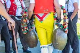 Alp, Alpabfahrt, Alpen, Alpfahrt, Alps, Appenzell, Appenzellerland, Autumn, Brauchtum und Anlässe, Fall, Herbst, Jahreszeiten, Kühe, Landschaft und Natur, Natur, Orte, Ostschweiz, Schweiz, Suisse, Switzerland, Tier, Tracht, Urnäsch, tradition, Öberefahre