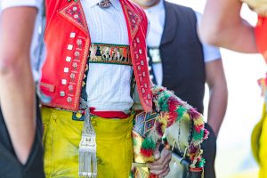 Alp, Alpabfahrt, Alpen, Alpfahrt, Alps, Appenzell, Appenzellerland, Autumn, Brauchtum und Anlässe, Fall, Herbst, Jahreszeiten, Kühe, Landschaft und Natur, Natur, Orte, Ostschweiz, Schweiz, Suisse, Switzerland, Tier, Tracht, Urnäsch, tradition, Öberefahre