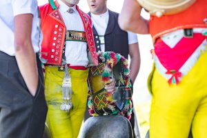 Alp, Alpabfahrt, Alpen, Alpfahrt, Alps, Appenzell, Appenzellerland, Autumn, Brauchtum und Anlässe, Fall, Herbst, Jahreszeiten, Kühe, Landschaft und Natur, Natur, Orte, Ostschweiz, Schweiz, Suisse, Switzerland, Tier, Tracht, Urnäsch, tradition, Öberefahre