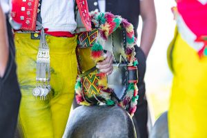 Alp, Alpabfahrt, Alpen, Alpfahrt, Alps, Appenzell, Appenzellerland, Autumn, Brauchtum und Anlässe, Fall, Herbst, Jahreszeiten, Kühe, Landschaft und Natur, Natur, Orte, Ostschweiz, Schweiz, Suisse, Switzerland, Tier, Tracht, Urnäsch, tradition, Öberefahre