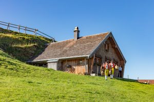 Alp, Alpabfahrt, Alpen, Alpfahrt, Alps, Appenzell, Appenzellerland, Autumn, Brauchtum und Anlässe, Fall, Herbst, Jahreszeiten, Kühe, Landschaft und Natur, Natur, Orte, Ostschweiz, Schweiz, Suisse, Switzerland, Tier, Tracht, Urnäsch, tradition, Öberefahre