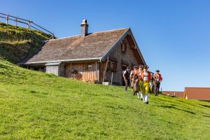 Alp, Alpabfahrt, Alpen, Alpfahrt, Alps, Appenzell, Appenzellerland, Autumn, Brauchtum und Anlässe, Fall, Herbst, Jahreszeiten, Kühe, Landschaft und Natur, Natur, Orte, Ostschweiz, Schweiz, Suisse, Switzerland, Tier, Tracht, Urnäsch, tradition, Öberefahre