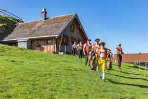 Alp, Alpabfahrt, Alpen, Alpfahrt, Alps, Appenzell, Appenzellerland, Autumn, Brauchtum und Anlässe, Fall, Herbst, Jahreszeiten, Kühe, Landschaft und Natur, Natur, Orte, Ostschweiz, Schweiz, Suisse, Switzerland, Tier, Tracht, Urnäsch, tradition, Öberefahre