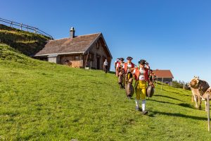 Alp, Alpabfahrt, Alpen, Alpfahrt, Alps, Appenzell, Appenzellerland, Autumn, Brauchtum und Anlässe, Fall, Herbst, Jahreszeiten, Kühe, Landschaft und Natur, Natur, Orte, Ostschweiz, Schweiz, Suisse, Switzerland, Tier, Tracht, Urnäsch, tradition, Öberefahre