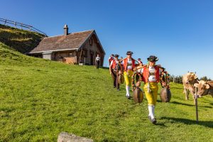 Alp, Alpabfahrt, Alpen, Alpfahrt, Alps, Appenzell, Appenzellerland, Autumn, Brauchtum und Anlässe, Fall, Herbst, Jahreszeiten, Kühe, Landschaft und Natur, Natur, Orte, Ostschweiz, Schweiz, Suisse, Switzerland, Tier, Tracht, Urnäsch, tradition, Öberefahre