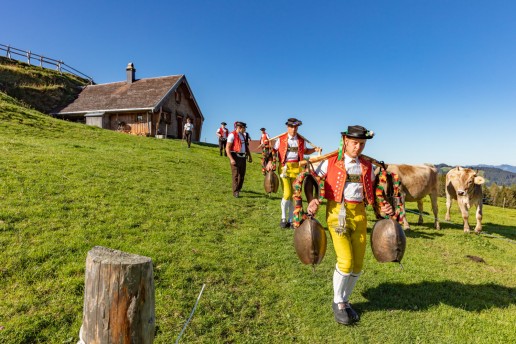 Alp, Alpabfahrt, Alpen, Alpfahrt, Alps, Appenzell, Appenzellerland, Autumn, Brauchtum und Anlässe, Fall, Herbst, Jahreszeiten, Kühe, Landschaft und Natur, Natur, Orte, Ostschweiz, Schweiz, Suisse, Switzerland, Tier, Tracht, Urnäsch, tradition, Öberefahre