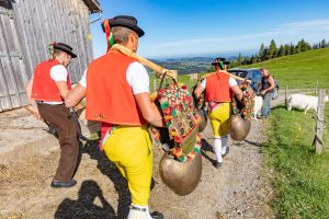 Alp, Alpabfahrt, Alpen, Alpfahrt, Alps, Appenzell, Appenzellerland, Autumn, Brauchtum und Anlässe, Fall, Herbst, Jahreszeiten, Kühe, Landschaft und Natur, Natur, Orte, Ostschweiz, Schweiz, Suisse, Switzerland, Tier, Tracht, Urnäsch, tradition, Öberefahre