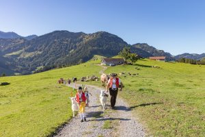 Alp, Alpabfahrt, Alpen, Alpfahrt, Alps, Appenzell, Appenzellerland, Autumn, Brauchtum und Anlässe, Fall, Herbst, Jahreszeiten, Kühe, Landschaft und Natur, Natur, Orte, Ostschweiz, Schweiz, Suisse, Switzerland, Tier, Tracht, Urnäsch, tradition, Öberefahre