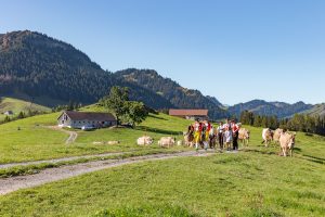 Alp, Alpabfahrt, Alpen, Alpfahrt, Alps, Appenzell, Appenzellerland, Autumn, Brauchtum und Anlässe, Fall, Herbst, Jahreszeiten, Kühe, Landschaft und Natur, Natur, Orte, Ostschweiz, Schweiz, Suisse, Switzerland, Tier, Tracht, Urnäsch, tradition, Öberefahre
