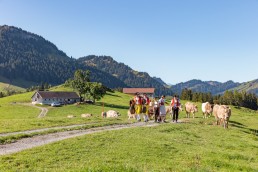 Alp, Alpabfahrt, Alpen, Alpfahrt, Alps, Appenzell, Appenzellerland, Autumn, Brauchtum und Anlässe, Fall, Herbst, Jahreszeiten, Kühe, Landschaft und Natur, Natur, Orte, Ostschweiz, Schweiz, Suisse, Switzerland, Tier, Tracht, Urnäsch, tradition, Öberefahre