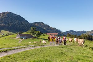 Alp, Alpabfahrt, Alpen, Alpfahrt, Alps, Appenzell, Appenzellerland, Autumn, Brauchtum und Anlässe, Fall, Herbst, Jahreszeiten, Kühe, Landschaft und Natur, Natur, Orte, Ostschweiz, Schweiz, Suisse, Switzerland, Tier, Tracht, Urnäsch, tradition, Öberefahre