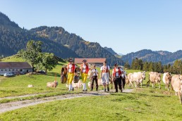 Alp, Alpabfahrt, Alpen, Alpfahrt, Alps, Appenzell, Appenzellerland, Autumn, Brauchtum und Anlässe, Fall, Herbst, Jahreszeiten, Kühe, Landschaft und Natur, Natur, Orte, Ostschweiz, Schweiz, Suisse, Switzerland, Tier, Tracht, Urnäsch, tradition, Öberefahre