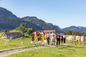 Alp, Alpabfahrt, Alpen, Alpfahrt, Alps, Appenzell, Appenzellerland, Autumn, Brauchtum und Anlässe, Fall, Herbst, Jahreszeiten, Kühe, Landschaft und Natur, Natur, Orte, Ostschweiz, Schweiz, Suisse, Switzerland, Tier, Tracht, Urnäsch, tradition, Öberefahre