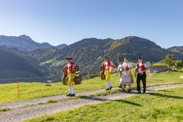 Alp, Alpabfahrt, Alpen, Alpfahrt, Alps, Appenzell, Appenzellerland, Autumn, Brauchtum und Anlässe, Fall, Herbst, Jahreszeiten, Kühe, Landschaft und Natur, Natur, Orte, Ostschweiz, Schweiz, Suisse, Switzerland, Tier, Tracht, Urnäsch, tradition, Öberefahre