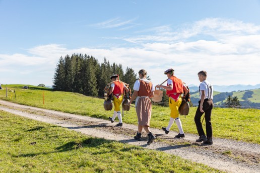 Alp, Alpabfahrt, Alpen, Alpfahrt, Alps, Appenzell, Appenzellerland, Autumn, Brauchtum und Anlässe, Fall, Herbst, Jahreszeiten, Kühe, Landschaft und Natur, Natur, Orte, Ostschweiz, Schweiz, Suisse, Switzerland, Tier, Tracht, Urnäsch, tradition, Öberefahre