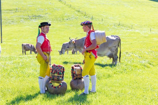 Alp, Alpabfahrt, Alpen, Alpfahrt, Alps, Appenzell, Appenzellerland, Autumn, Brauchtum und Anlässe, Fall, Herbst, Jahreszeiten, Kühe, Landschaft und Natur, Natur, Orte, Ostschweiz, Schweiz, Suisse, Switzerland, Tier, Tracht, Urnäsch, tradition, Öberefahre