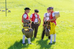Alp, Alpabfahrt, Alpen, Alpfahrt, Alps, Appenzell, Appenzellerland, Autumn, Brauchtum und Anlässe, Fall, Herbst, Jahreszeiten, Kühe, Landschaft und Natur, Natur, Orte, Ostschweiz, Schweiz, Suisse, Switzerland, Tier, Tracht, Urnäsch, tradition, Öberefahre
