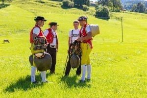 Alp, Alpabfahrt, Alpen, Alpfahrt, Alps, Appenzell, Appenzellerland, Autumn, Brauchtum und Anlässe, Fall, Herbst, Jahreszeiten, Kühe, Landschaft und Natur, Natur, Orte, Ostschweiz, Schweiz, Suisse, Switzerland, Tier, Tracht, Urnäsch, tradition, Öberefahre