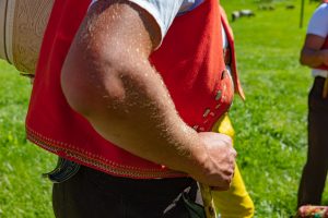 Alp, Alpabfahrt, Alpen, Alpfahrt, Alps, Appenzell, Appenzellerland, Autumn, Brauchtum und Anlässe, Fall, Herbst, Jahreszeiten, Kühe, Landschaft und Natur, Natur, Orte, Ostschweiz, Schweiz, Suisse, Switzerland, Tier, Tracht, Urnäsch, tradition, Öberefahre