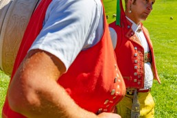Alp, Alpabfahrt, Alpen, Alpfahrt, Alps, Appenzell, Appenzellerland, Autumn, Brauchtum und Anlässe, Fall, Herbst, Jahreszeiten, Kühe, Landschaft und Natur, Natur, Orte, Ostschweiz, Schweiz, Suisse, Switzerland, Tier, Tracht, Urnäsch, tradition, Öberefahre