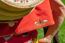 Alp, Alpabfahrt, Alpen, Alpfahrt, Alps, Appenzell, Appenzellerland, Autumn, Brauchtum und Anlässe, Fall, Herbst, Jahreszeiten, Kühe, Landschaft und Natur, Natur, Orte, Ostschweiz, Schweiz, Suisse, Switzerland, Tier, Tracht, Urnäsch, tradition, Öberefahre