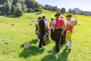 Alp, Alpabfahrt, Alpen, Alpfahrt, Alps, Appenzell, Appenzellerland, Autumn, Brauchtum und Anlässe, Fall, Herbst, Jahreszeiten, Kühe, Landschaft und Natur, Natur, Orte, Ostschweiz, Schweiz, Suisse, Switzerland, Tier, Tracht, Urnäsch, tradition, Öberefahre