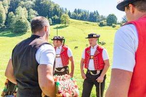 Alp, Alpabfahrt, Alpen, Alpfahrt, Alps, Appenzell, Appenzellerland, Autumn, Brauchtum und Anlässe, Fall, Herbst, Jahreszeiten, Kühe, Landschaft und Natur, Natur, Orte, Ostschweiz, Schweiz, Suisse, Switzerland, Tier, Tracht, Urnäsch, tradition, Öberefahre