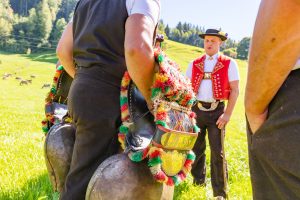Alp, Alpabfahrt, Alpen, Alpfahrt, Alps, Appenzell, Appenzellerland, Autumn, Brauchtum und Anlässe, Fall, Herbst, Jahreszeiten, Kühe, Landschaft und Natur, Natur, Orte, Ostschweiz, Schweiz, Suisse, Switzerland, Tier, Tracht, Urnäsch, tradition, Öberefahre