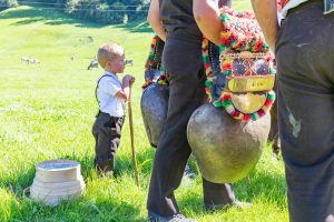 Alp, Alpabfahrt, Alpen, Alpfahrt, Alps, Appenzell, Appenzellerland, Autumn, Brauchtum und Anlässe, Fall, Herbst, Jahreszeiten, Kühe, Landschaft und Natur, Natur, Orte, Ostschweiz, Schweiz, Suisse, Switzerland, Tier, Tracht, Urnäsch, tradition, Öberefahre