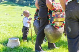 Alp, Alpabfahrt, Alpen, Alpfahrt, Alps, Appenzell, Appenzellerland, Autumn, Brauchtum und Anlässe, Fall, Herbst, Jahreszeiten, Kühe, Landschaft und Natur, Natur, Orte, Ostschweiz, Schweiz, Suisse, Switzerland, Tier, Tracht, Urnäsch, tradition, Öberefahre