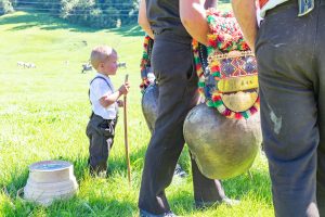 Alp, Alpabfahrt, Alpen, Alpfahrt, Alps, Appenzell, Appenzellerland, Autumn, Brauchtum und Anlässe, Fall, Herbst, Jahreszeiten, Kühe, Landschaft und Natur, Natur, Orte, Ostschweiz, Schweiz, Suisse, Switzerland, Tier, Tracht, Urnäsch, tradition, Öberefahre