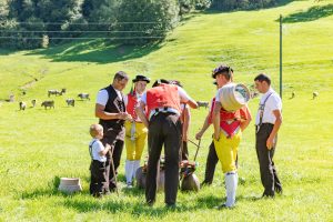 Alp, Alpabfahrt, Alpen, Alpfahrt, Alps, Appenzell, Appenzellerland, Autumn, Brauchtum und Anlässe, Fall, Herbst, Jahreszeiten, Kühe, Landschaft und Natur, Natur, Orte, Ostschweiz, Schweiz, Suisse, Switzerland, Tier, Tracht, Urnäsch, tradition, Öberefahre