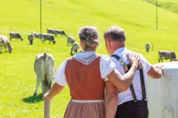 Alp, Alpabfahrt, Alpen, Alpfahrt, Alps, Appenzell, Appenzellerland, Autumn, Brauchtum und Anlässe, Fall, Herbst, Jahreszeiten, Kühe, Landschaft und Natur, Natur, Orte, Ostschweiz, Schweiz, Suisse, Switzerland, Tier, Tracht, Urnäsch, tradition, Öberefahre