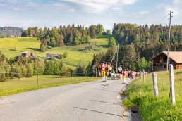 Alp, Alpaufzug, Alpen, Alpfahrt, Alps, Appenzell, Appenzell Ausserrohden, Appenzellerland, Brauchtum und Anlässe, Frühling, Jahreszeiten, Kühe, Landschaft und Natur, Mai, Natur, Orte, Ostschweiz, Schweiz, Sennen, Spring, Suisse, Switzerland, Tier, Tracht, spring, tradition