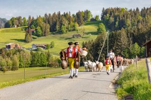 Alp, Alpaufzug, Alpen, Alpfahrt, Alps, Appenzell, Appenzell Ausserrohden, Appenzellerland, Brauchtum und Anlässe, Frühling, Jahreszeiten, Kühe, Landschaft und Natur, Mai, Natur, Orte, Ostschweiz, Schweiz, Sennen, Spring, Suisse, Switzerland, Tier, Tracht, spring, tradition