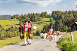 Alp, Alpaufzug, Alpen, Alpfahrt, Alps, Appenzell, Appenzell Ausserrohden, Appenzellerland, Brauchtum und Anlässe, Frühling, Jahreszeiten, Kühe, Landschaft und Natur, Mai, Natur, Orte, Ostschweiz, Schweiz, Sennen, Spring, Suisse, Switzerland, Tier, Tracht, spring, tradition