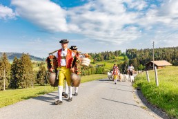 Alp, Alpaufzug, Alpen, Alpfahrt, Alps, Appenzell, Appenzell Ausserrohden, Appenzellerland, Brauchtum und Anlässe, Frühling, Jahreszeiten, Kühe, Landschaft und Natur, Mai, Natur, Orte, Ostschweiz, Schweiz, Sennen, Spring, Suisse, Switzerland, Tier, Tracht, spring, tradition