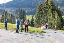 Alp, Alpaufzug, Alpen, Alpfahrt, Alps, Appenzell, Appenzell Ausserrohden, Appenzellerland, Brauchtum und Anlässe, Frühling, Jahreszeiten, Kühe, Landschaft und Natur, Mai, Natur, Orte, Ostschweiz, Schweiz, Sennen, Spring, Suisse, Switzerland, Tier, Tracht, spring, tradition