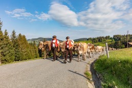 Alp, Alpaufzug, Alpen, Alpfahrt, Alps, Appenzell, Appenzell Ausserrohden, Appenzellerland, Brauchtum und Anlässe, Frühling, Jahreszeiten, Kühe, Landschaft und Natur, Mai, Natur, Orte, Ostschweiz, Schweiz, Sennen, Spring, Suisse, Switzerland, Tier, Tracht, spring, tradition