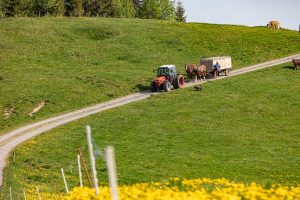 Alp, Alpaufzug, Alpen, Alpfahrt, Alps, Appenzell, Appenzell Ausserrohden, Appenzellerland, Brauchtum und Anlässe, Frühling, Jahreszeiten, Kühe, Landschaft und Natur, Mai, Natur, Orte, Ostschweiz, Schweiz, Sennen, Spring, Suisse, Switzerland, Tier, Tracht, spring, tradition