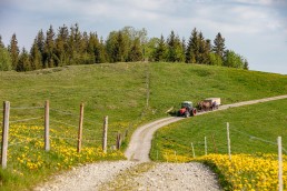 Alp, Alpaufzug, Alpen, Alpfahrt, Alps, Appenzell, Appenzell Ausserrohden, Appenzellerland, Brauchtum und Anlässe, Frühling, Jahreszeiten, Kühe, Landschaft und Natur, Mai, Natur, Orte, Ostschweiz, Schweiz, Sennen, Spring, Suisse, Switzerland, Tier, Tracht, spring, tradition