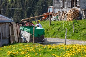 Alp, Alpaufzug, Alpen, Alpfahrt, Alps, Appenzell, Appenzell Ausserrohden, Appenzellerland, Brauchtum und Anlässe, Frühling, Jahreszeiten, Kühe, Landschaft und Natur, Mai, Natur, Orte, Ostschweiz, Schweiz, Sennen, Spring, Suisse, Switzerland, Tier, Tracht, spring, tradition