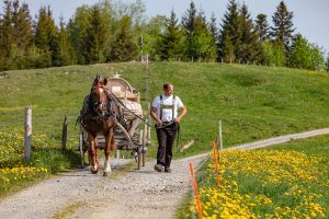 Alp, Alpaufzug, Alpen, Alpfahrt, Alps, Appenzell, Appenzell Ausserrohden, Appenzellerland, Brauchtum und Anlässe, Frühling, Jahreszeiten, Kühe, Landschaft und Natur, Mai, Natur, Orte, Ostschweiz, Schweiz, Sennen, Spring, Suisse, Switzerland, Tier, Tracht, spring, tradition