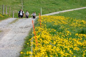 Alp, Alpaufzug, Alpen, Alpfahrt, Alps, Appenzell, Appenzell Ausserrohden, Appenzellerland, Brauchtum und Anlässe, Frühling, Jahreszeiten, Kühe, Landschaft und Natur, Mai, Natur, Orte, Ostschweiz, Schweiz, Sennen, Spring, Suisse, Switzerland, Tier, Tracht, spring, tradition