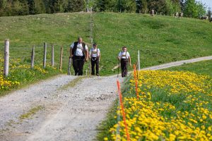 Alp, Alpaufzug, Alpen, Alpfahrt, Alps, Appenzell, Appenzell Ausserrohden, Appenzellerland, Brauchtum und Anlässe, Frühling, Jahreszeiten, Kühe, Landschaft und Natur, Mai, Natur, Orte, Ostschweiz, Schweiz, Sennen, Spring, Suisse, Switzerland, Tier, Tracht, spring, tradition